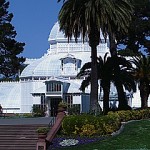 The San Francisco Conservatory of Flowers.