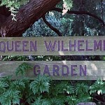 The Queen Wilhemina Tulip Garden in Golden Gate Park.