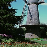 The windmill at the Queen Wilhemina Tulip Garden.